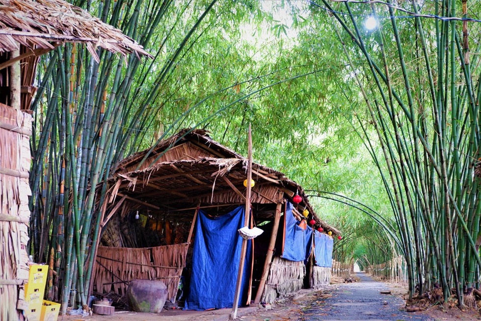 Con[-]đường[-]tre[-]xanh[-]rì[-]rà[-]"[-]Độc[-]nhấ"[-]miền[-]Tây